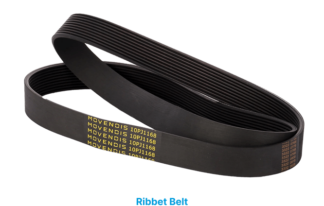 Ribbet Belt-min